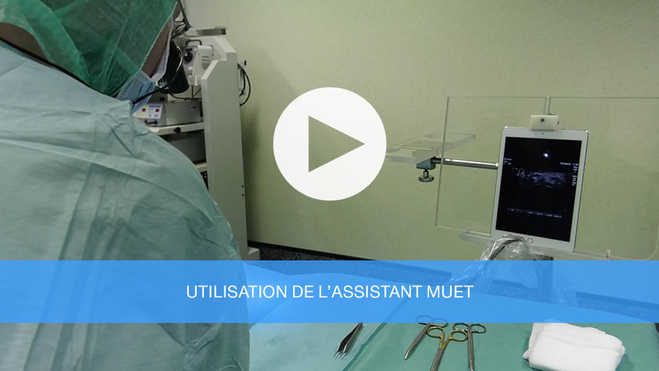 Utilisation de l'assisitant muet